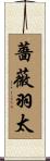 薔薇羽太 Scroll