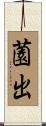 薗出 Scroll