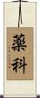 薬科 Scroll