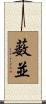 薮並 Scroll