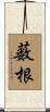 薮根 Scroll