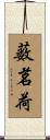 薮茗荷 Scroll