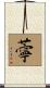 薴 Scroll