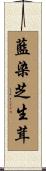 藍染芝生茸 Scroll