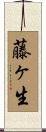 藤ヶ生 Scroll