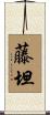 藤坦 Scroll