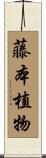 藤本植物 Scroll