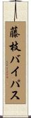 藤枝バイパス Scroll