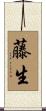 藤生 Scroll