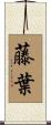 藤葉 Scroll