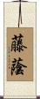 藤蔭 Scroll