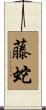 藤蛇 Scroll