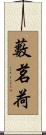 藪茗荷 Scroll