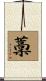 藳 Scroll