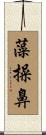 藻操鼻 Scroll