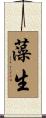 藻生 Scroll