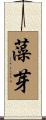 藻芽 Scroll