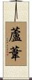 蘆葦 Scroll