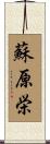 蘇原栄 Scroll