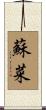 蘇菜 Scroll