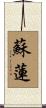 Solene Scroll