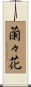 蘭々花 Scroll
