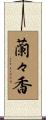 蘭々香 Scroll