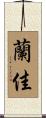 蘭佳 Scroll