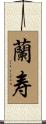 蘭寿 Scroll