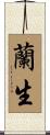 蘭生 Scroll