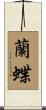 蘭蝶 Scroll