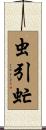 虫引虻 Scroll