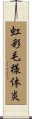虹彩毛様体炎 Scroll
