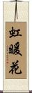虹暖花 Scroll