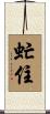 虻住 Scroll