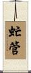 虻管 Scroll