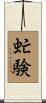 虻験 Scroll