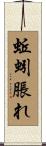 蚯蚓脹れ Scroll