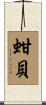 蚶貝 Scroll