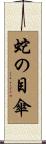 蛇の目傘 Scroll