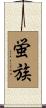 蛍族 Scroll