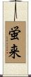 蛍来 Scroll