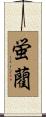 蛍藺 Scroll
