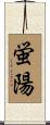 蛍陽 Scroll