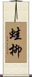 蛙柳 Scroll