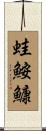 蛙鮟鱇 Scroll