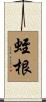 蛭根 Scroll