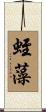 蛭藻 Scroll