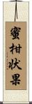 蜜柑状果 Scroll