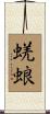 蜣蜋 Scroll